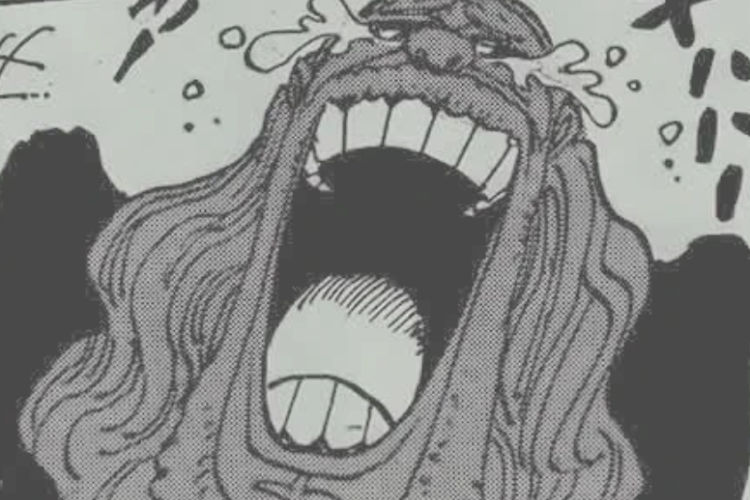 Manga One Piece Chapter 1176 English Translation: Spoiler, Release Date, and Link to Read