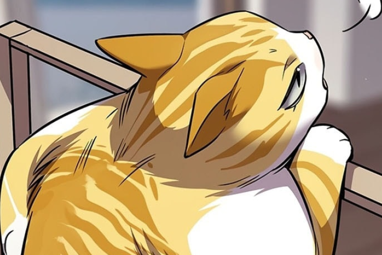 Read Manhwa Eleceed Chapter 378 English Sub RAW, Important Matters Discussed