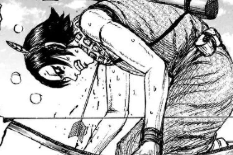 Link to Read Manga Kingdom Chapter 864 English Scan, Shoot Directly at Vital Parts