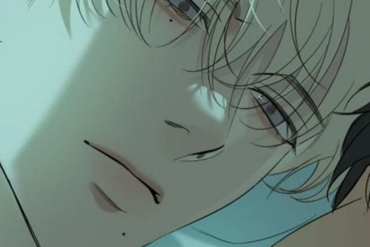 Read Manhwa Backlight Chapter 61 English Sub, A Very Serene Night