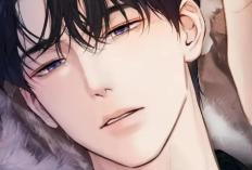 Love That Grows Stronger! Reading Link Manhua Only for Love (Accidental Love) Chapter 73 English Translation and Release Date